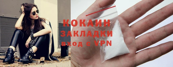 шишки Богданович