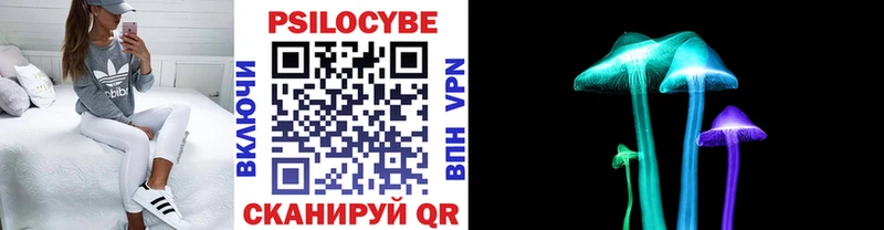 Галлюциногенные грибы MAGIC MUSHROOMS  мега вход  Борзя  купить закладку 
